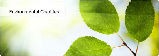 Environment & Conservation