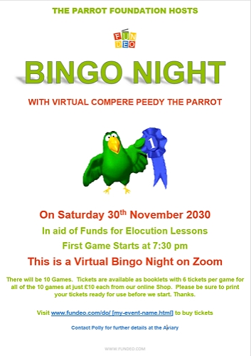 Bingo night poster download